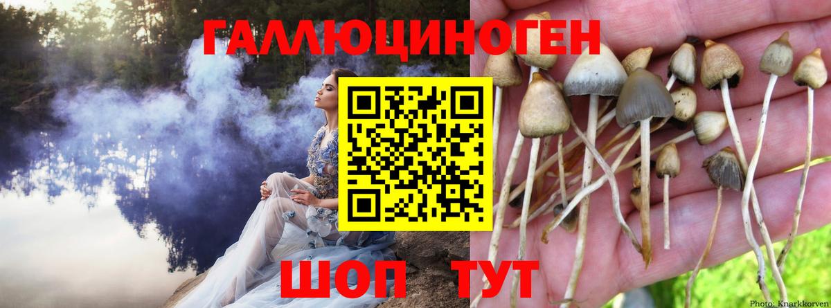 Галлюциногенные грибы Psilocybe  Вход с VPN  Галлюциногенные грибы ЛСД  Железногорск 