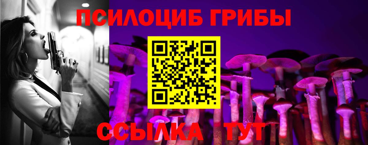 Галлюциногенные грибы Cubensis Железногорск